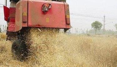 稻草全量还田种植小麦的新方法（稻草全量还田种植小麦的新方法有哪些）