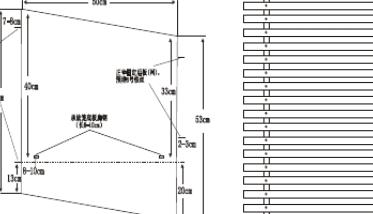 獭兔的养殖技术