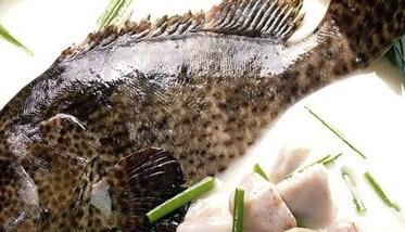 石斑鱼的营养价值 珍珠龙胆石斑鱼的营养价值