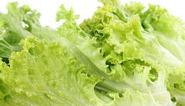 生菜是酸性还是碱性？（生菜是碱性吗）