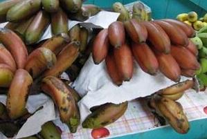 红皮香蕉营养价值知多少 香蕉皮的营养价值是多少