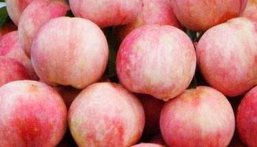 水蜜桃的营养价值有哪些 水蜜桃营养功效与作用