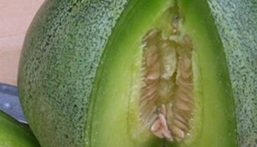 绿宝香瓜的营养价值知多少（绿宝瓜的营养价值和功效）
