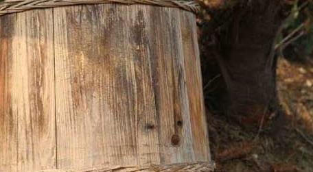 木桶养蜂有什么优缺点（养蜂蜂箱好还是木桶好）