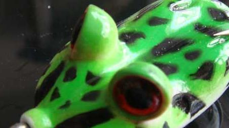 路亚雷蛙的操作技巧 路亚雷蛙使用教程