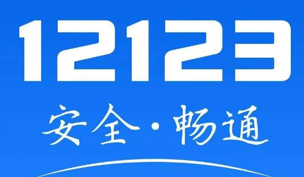 12123选号品牌型号怎么填