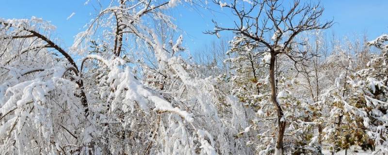 立春后下雪吗（立春后还下雪吗?）