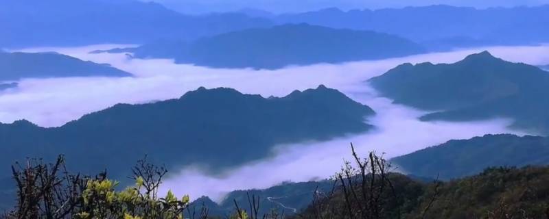 雪峰山主峰在哪个县 雪峰山的主峰在哪里