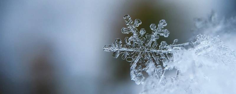 雪花的形状具备什么特点（雪花的外形特点）