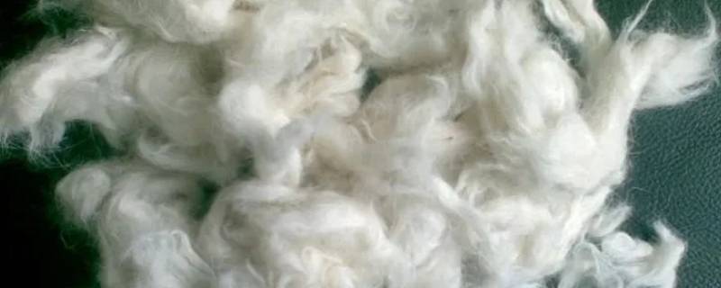 羊毛的主要成分 羊毛的主要成分是什么
