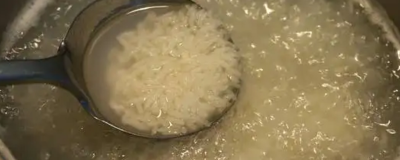 高压锅煮粥水和米的比例是多少 用电高压锅煮粥水米比例