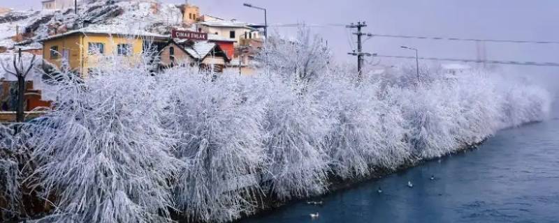 土耳其有冬天吗 土耳其的冬天多少度