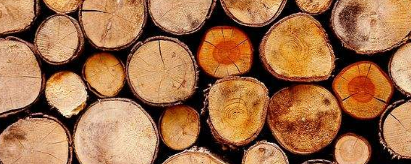 影响木材强度的因素有哪些 影响木材强度的因素有哪些?如何影响?