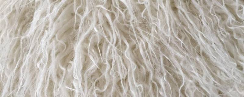 超细羊毛和羊毛的区别 超细羊毛和普通羊毛的区别