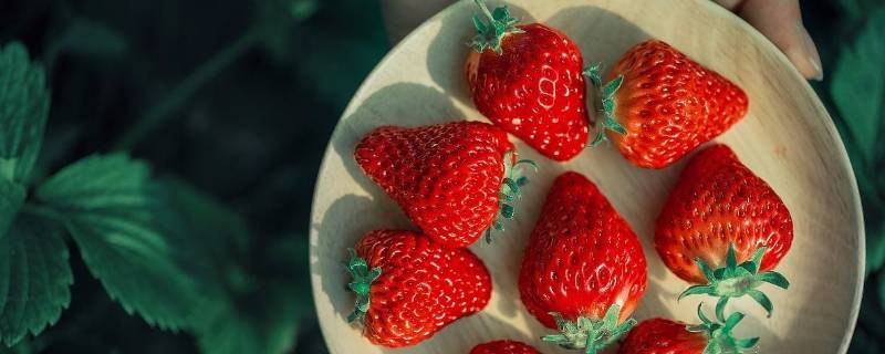 草莓是一颗草莓还是一个草莓 一个草莓还是一颗草莓