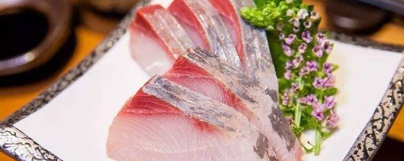 hamachi是什么鱼 hamachi是什么鱼怎能做好吃