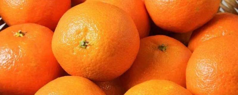 橘子顶部叫什么桔蒂 橘子的蒂叫什么