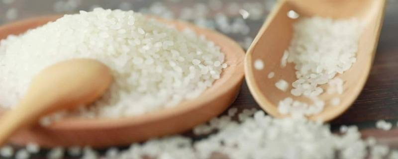 封好的大米为什么有米虫 密封好的米会长虫吗