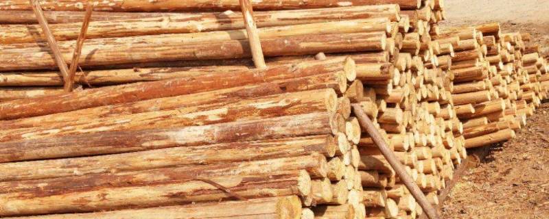 简述木材的腐朽原因及防腐方法（防止木材腐朽的措施有哪些?）