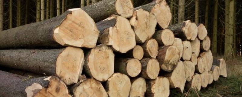 木材属于可燃固体吗 木材布匹油漆铁块哪些属于可燃物