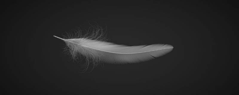 羽毛通常分为哪三种 羽毛包括什么