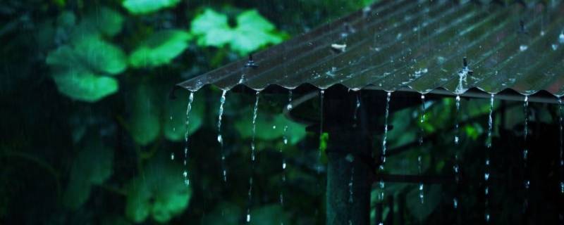 梅雨的梅是哪个梅（梅雨时节的梅是什么梅）