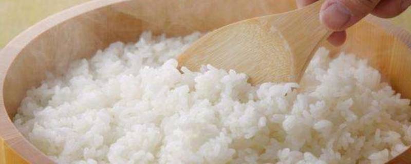 剩米饭怎么保存（剩米饭怎么保存不变馊）