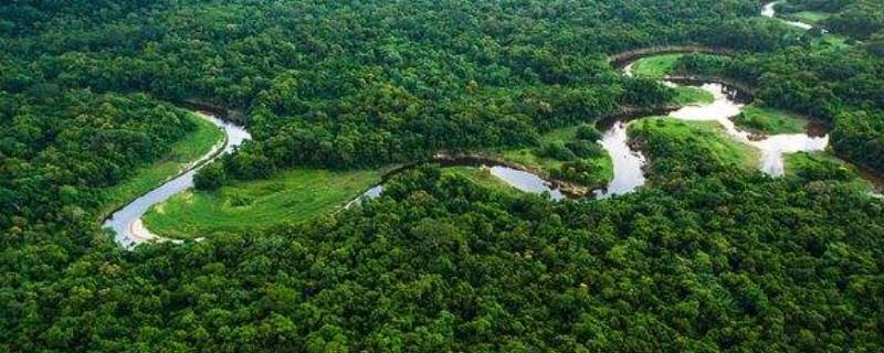 亚马逊雨林被誉为什么 亚马逊雨林的成因