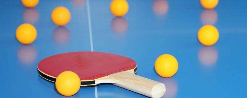 wtt是什么 wtt是什么名字的缩写