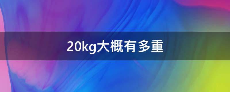 20kg大概有多重 20KG大概多重