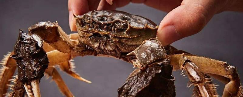 如何保存螃蟹（如何保存螃蟹更久）