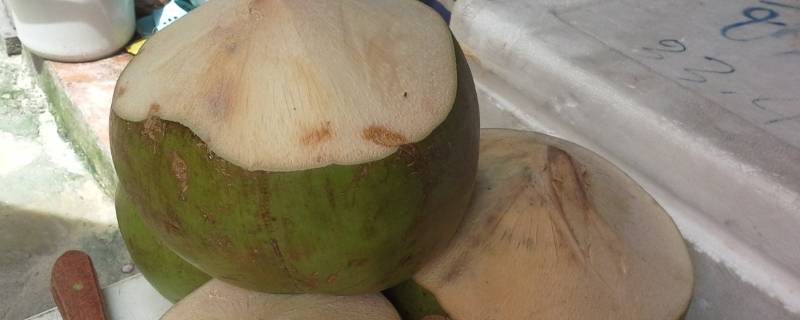 椰子怎么切 椰子怎么切开吃果肉