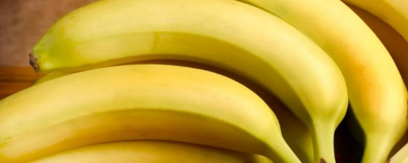 香蕉的寓意是什么意思 香蕉的寓意是什么意思4个字