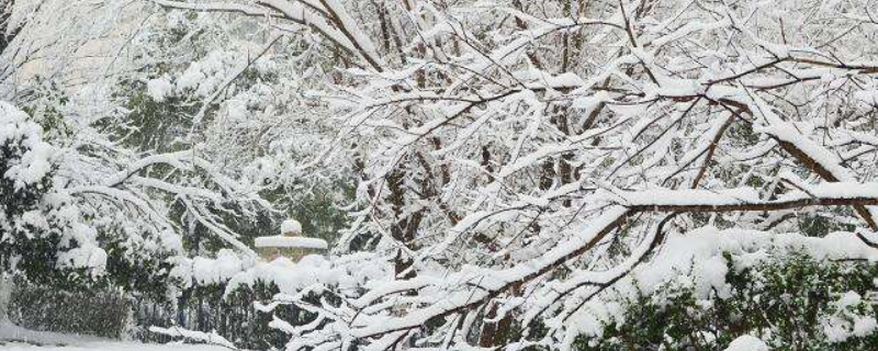 四毫米雪是多厚（四毫米的雪是多厚）