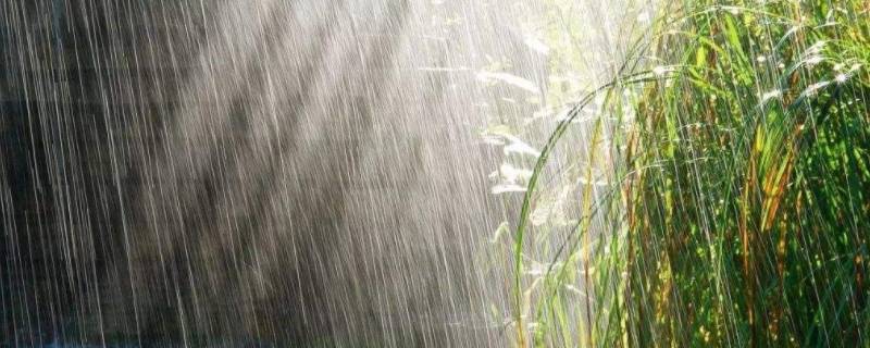 梅雨是对流雨还是锋面雨（梅雨属于锋面雨还是对流雨）