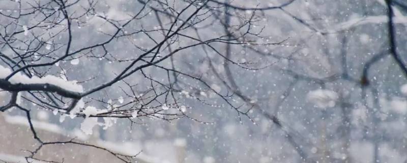 雪象征着什么（雪落在中国的土地上雪象征着什么）