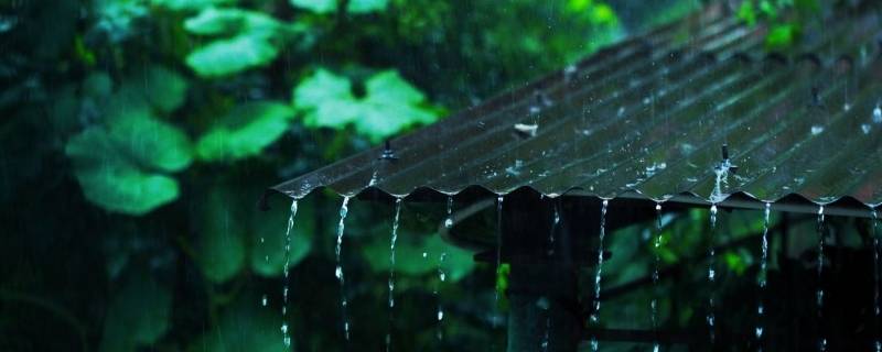 梅雨的梅得名于 梅雨的梅得名于杨梅成熟