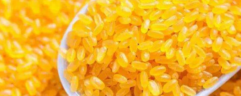 黄颜色的大米是啥米 黄颜色的大米是什么米