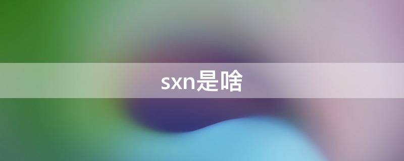 sxn是啥 snx是什么