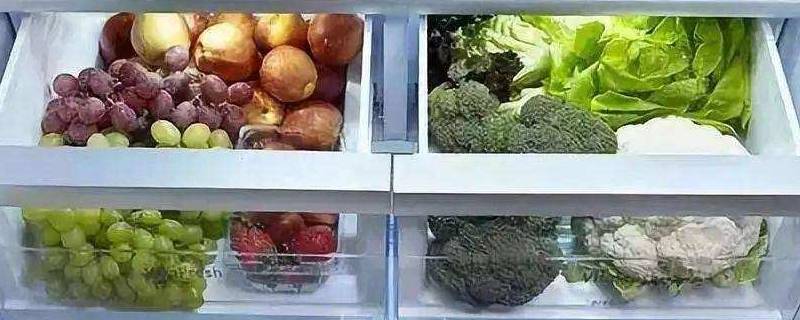 冬天菜需要放冰箱吗 冬天做的菜需要放冰箱吗