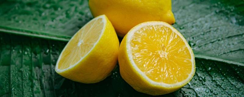 柠檬是水果吗 柠檬是水果吗,有何药用价值