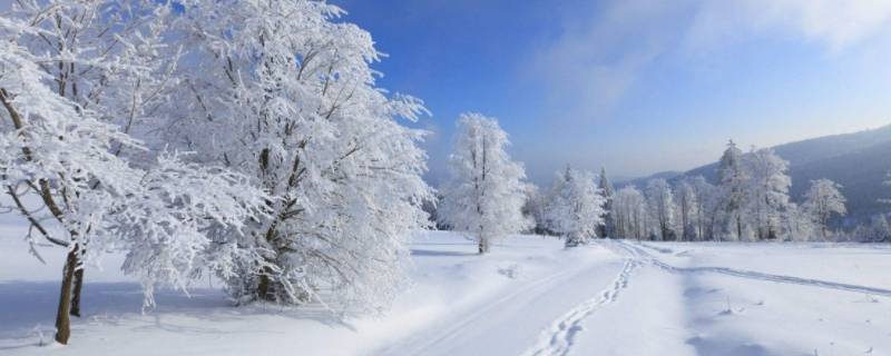 为什么不下雪 北京为什么不下雪