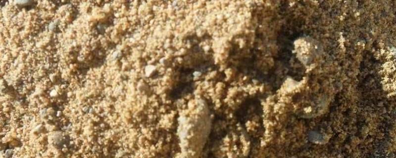 砂的表观密度 砂的表观密度计算公式