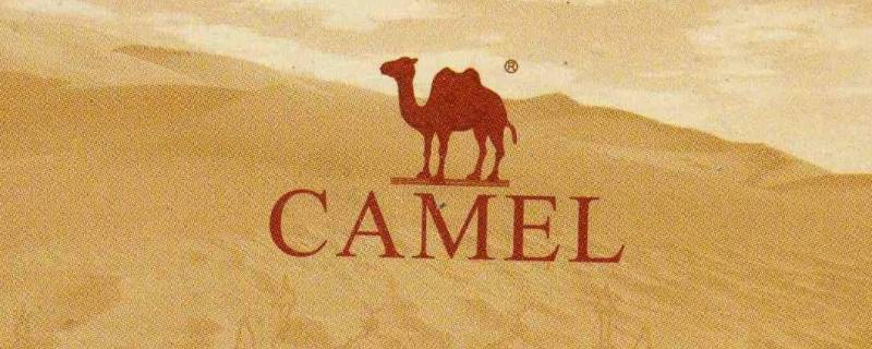 骆驼商标有几种 骆驼的商标