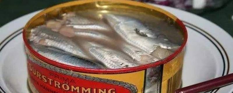 鲱鱼罐头到底是什么味道 鲱鱼罐头味道怎么样