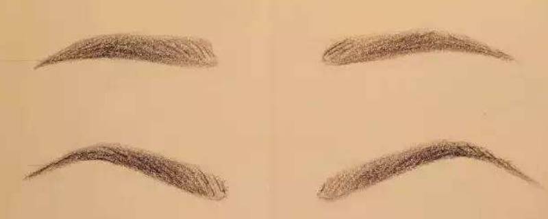 眉梢是哪个部位 眉梢是哪个部位图片