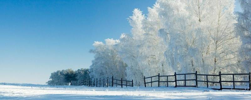 雪是什么味道（雪是什么味道的文章）