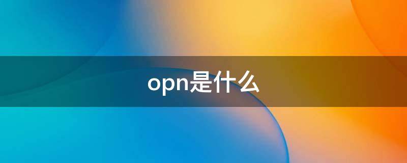 opn是什么（opn是什么部门）