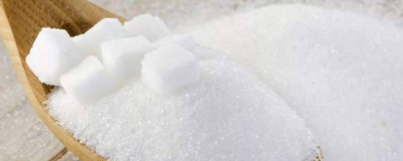 食盐和白砂糖哪个溶解能力强 食盐和白砂糖哪个溶解能力强实验两组不同条件