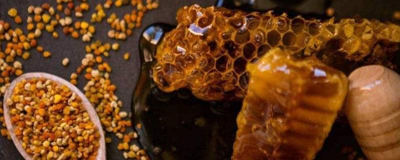 什么是蜂胶 什么是蜂胶和蜂蜡